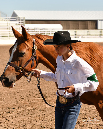 4H horse 22-82