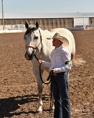 4H horse 22-75