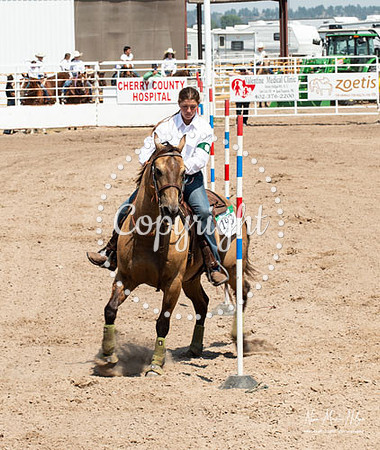 4H Show 2021-35